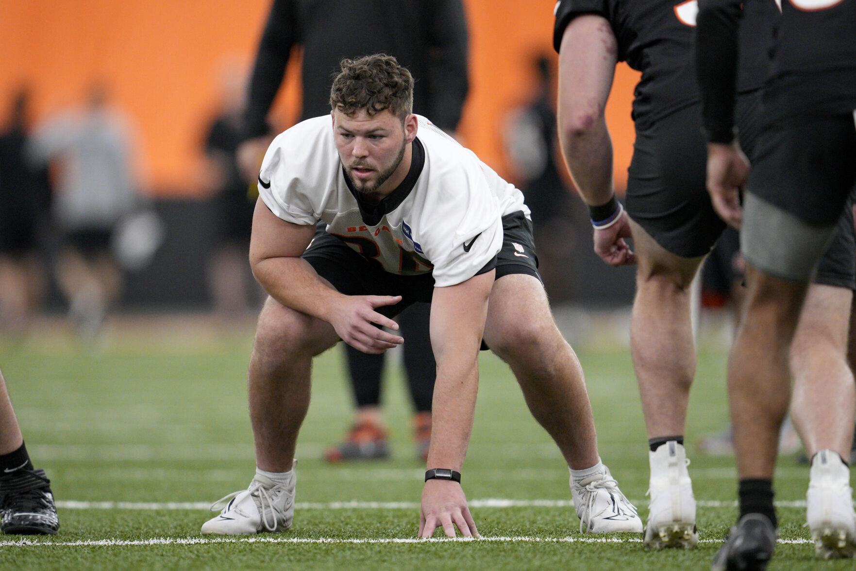 Bengals Football